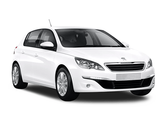 <p> Megane / Focus / 308</p>