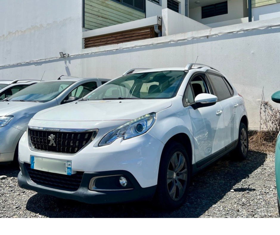 PEUGEOT 2008 ACTIVE - photo 1